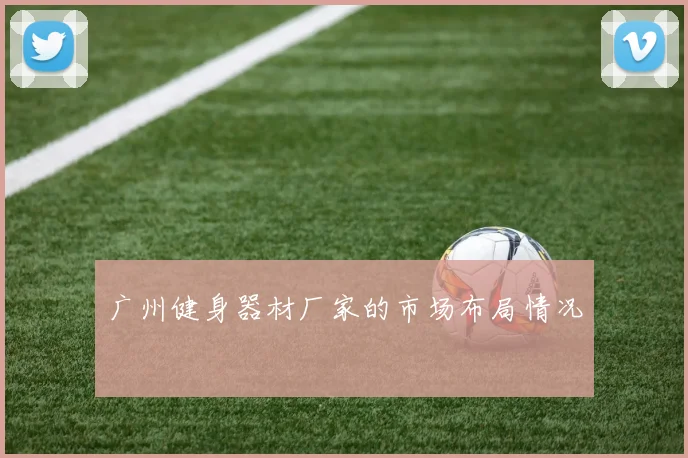 广州健身器材厂家的市场布局情况