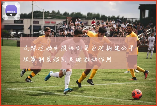 足球运动举报机制是否对构建公平联赛制度起到关键推动作用