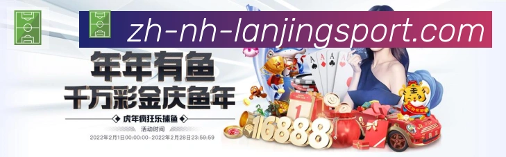 未来规划